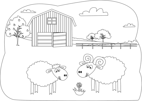 Sheep On The Farm Coloring Page